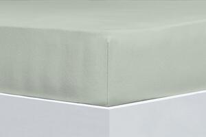 Florella Prostěradlo Organic Cotton Jersey Grüntee Zvolte jeden rozměr prostěradla: 140-160x200 cm