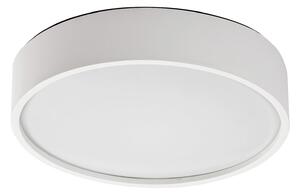 RABALUX Venkovní stropní LED světlo s čidlem LARCIA, 19W, denní bílá, 28,5cm, kulaté, bílé 0075012