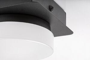 RABALUX Koupelnové stropní LED svítidlo ATTICHUS, 5W, denní bílá, černé 0075001
