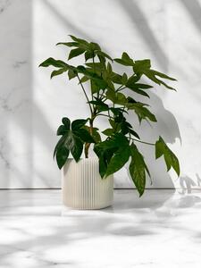 Plantbee Květináč Umbert 6cm bílá
