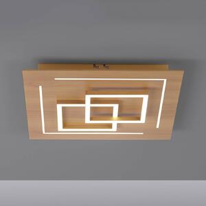 Paul Neuhaus Q-LINEA LED stropní světlo dřevo 40cm