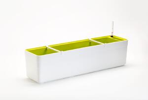 Samozavlažovací truhlík PLASTIA BERBERIS 80 cm bílá + zelená