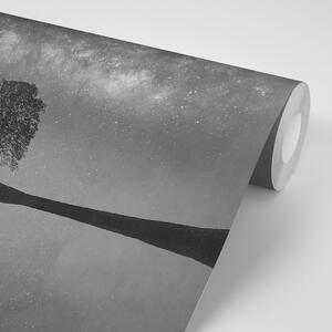 Fototapeta černobílá hvězdná obloha nad osamělým stromem