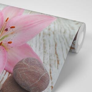 Fototapeta růžová lilie a Zen kameny