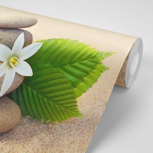 Fototapeta bílý květ a kameny v písku
