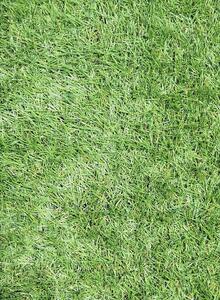 Vesna | Koberec Umělá tráva LAURA, výška vlasu 25 mm, šíře 200 cm