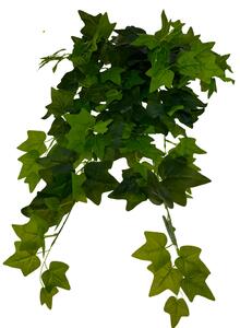 Zeleň převis břečťan se zelenými listy 70 cm