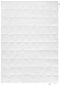 LETNÍ PŘIKRÝVKA, 140/200 cm, prachové peří Sleeptex - Přikrývky