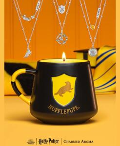 Vonná svíčka Harry Potter - Mrzimor (+náhrdelník) 326g