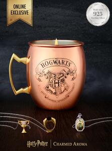 Vonná svíčka Harry Potter - měděný hrnek (+náhrdelník) 396g