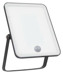 LEDVANCE LED reflektor Floodlight Essential Sensor 30W 3000K 4058075768314