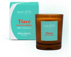 Terre d'Oc Tiaré sous les alizés Vonná svíčka, 180 g