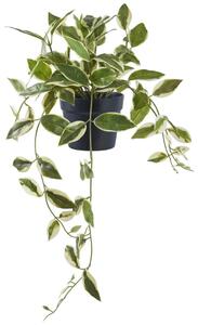 Nordic Living Umělá květina Hoya 33 cm