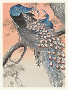 Obrazová reprodukce Two Peackcoks on a Peach Branch (Japandi Vintage) - Ohara Koson, (30 x 40 cm)