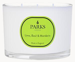 Vonná svíčka se třemi knoty Vintage Aromatherapy (limetka, bazalka a mandarinka)