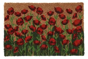 Venkovní rohožka Poppies, 60x40 cm