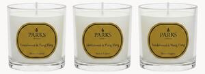 Sada ručně vyrobených vonných svíček Vintage Aromatherapy (santalové dřevo, ylang-ylang, teplá ambra), 3 díly