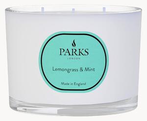 Ručně vyrobená vonná svíčka se třemi knoty Vintage Aromatherapy (citronová tráva, máta a citrus)