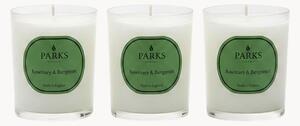 Sada ručně vyrobených vonných svíček Vintage Aromatherapy (rozmarýn, bergamot a levandule), 3 díly