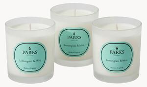Sada ručně vyrobených vonných svíček Vintage Aromatherapy (citronová tráva, máta a citrusy), 3 díly