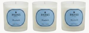 Sada ručně vyrobených vonných svíček Vintage Aromatherapy (hyacint, zelené květinové tóny a bílé pižmo), 3 díly