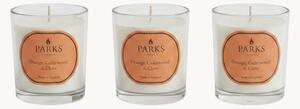 Sada ručně vyrobených vonných svíček Vintage Aromatherapy (pomeranč, cedrové dřevo a hřebíček), 3 díly
