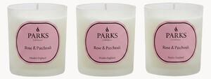 Sada ručně vyrobených vonných svíček Vintage Aromatherapy (růže, pačuli a zelené stonky), 3 díly