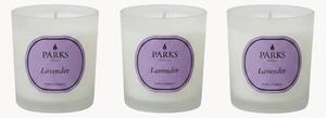 Sada ručně vyrobených vonných svíček Vintage Aromatherapy (levandule, heřmánek a bílé pižmo), 3 díly