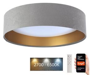 BPS Koncept LED Stropní svítidlo SMART GALAXY LED/36W/230V Wi-Fi Tuya šedá/zlatá + DO BS0520
