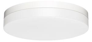 Palnas 61019222 ŠÍŘKA: 290 mm, OVLÁDÁNÍ: bez stmívání, TEPLOTA LED: 3000-4000 K
