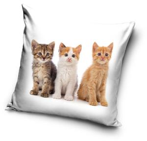 Carbotex Povlak na polštářek 40x40 cm - Kočičí Mňau Tým