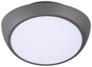 STROPNÍ LED SVÍTIDLO, 26/12,5 cm Novel - Stropní svítidla