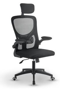 Ergonomická kancelářská židle, černá s opěrkou hlavy