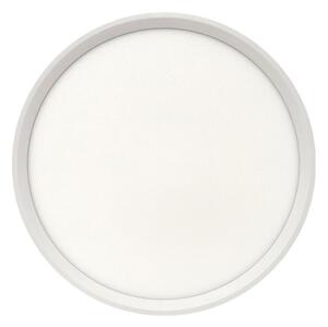 LED Stropní svítidlo LED/24W/230V 3000/4000/6500K pr. 30 cm bílá