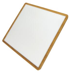 LED Stropní svítidlo LED/40W/230V 3000/4000/6500K 50x50 cm béžová