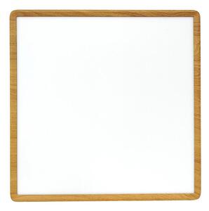 LED Stropní svítidlo LED/40W/230V 3000/4000/6500K 50x50 cm béžová