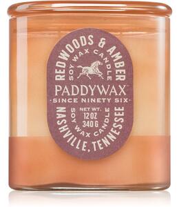 Paddywax Vista Redwoods & Amber vonná svíčka 340 g