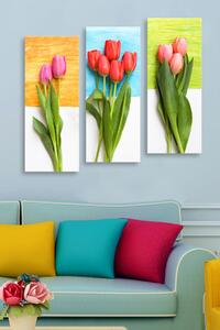 ASIR Obraz na MDF 3ks TULIPÁNY 20 x 50 cm
