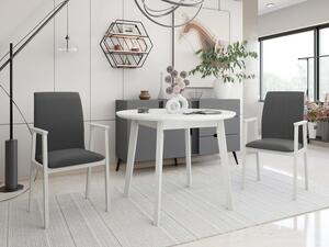 Rozkládací stůl se 2 židlemi - AL25, Barva dřeva: bílá, Potah: Hygge D91 Mirjan24 5903211292637