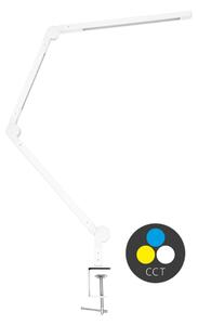 Ecolite LED stmívatelná stolní lampa 8W+11W 700lm CCT bílá LU19WT-BI
