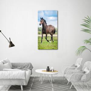 Vertikální Vertikální Foto obraz na plátně do obýváku Kůň na poli ocv-100002139