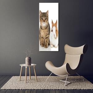 Vertikální Vertikální Foto obraz skleněný svislý Domácí zvířata osv-100573313
