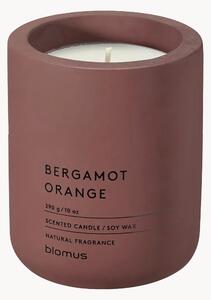 Vonná svíčka Fraga (bergamot a pomeranč)