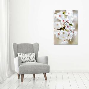 Vertikální Foto obraz sklo tvrzené Květy višně osv-100965392