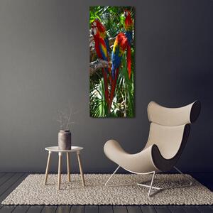 Vertikální Vertikální Foto obraz na plátně do obýváku Papoušci Ara ocv-100820443