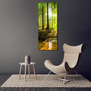 Vertikální Foto obraz fotografie na skle Slunce v lese osv-101332192
