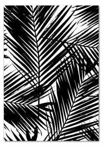 Vertikální Foto obraz sklo tvrzené Listí palmy osv-101389703
