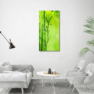 Vertikální Moderní skleněný obraz z fotografie Bambus osv-101574587