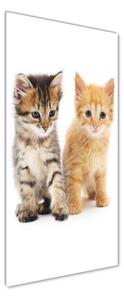 Vertikální Foto-obraz skleněný svislý Šedá a červená kočka osv-101681955