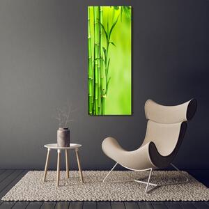 Vertikální Moderní skleněný obraz z fotografie Bambus osv-101574587